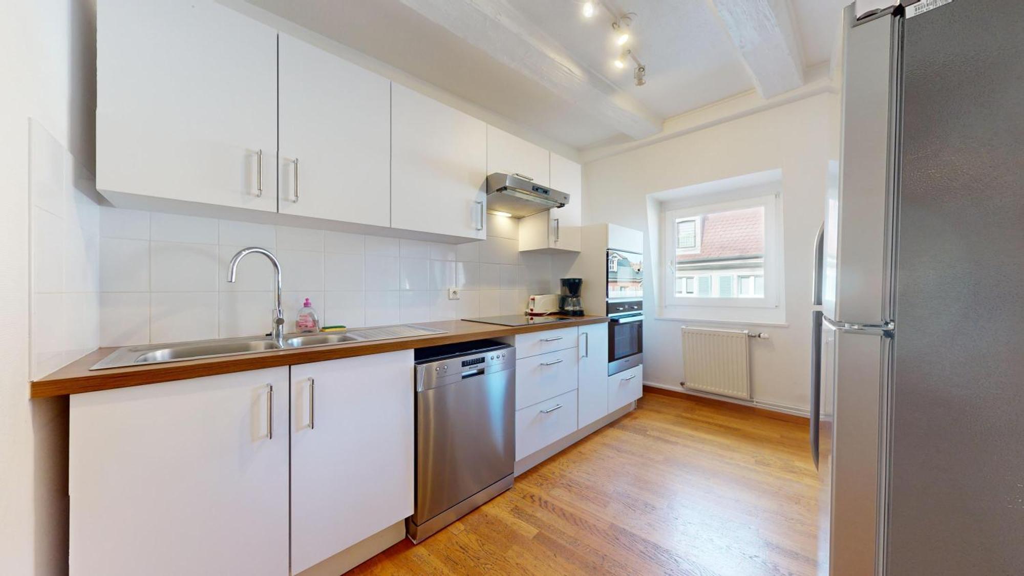 Colmarappart Rue Des Clefs Apartment *