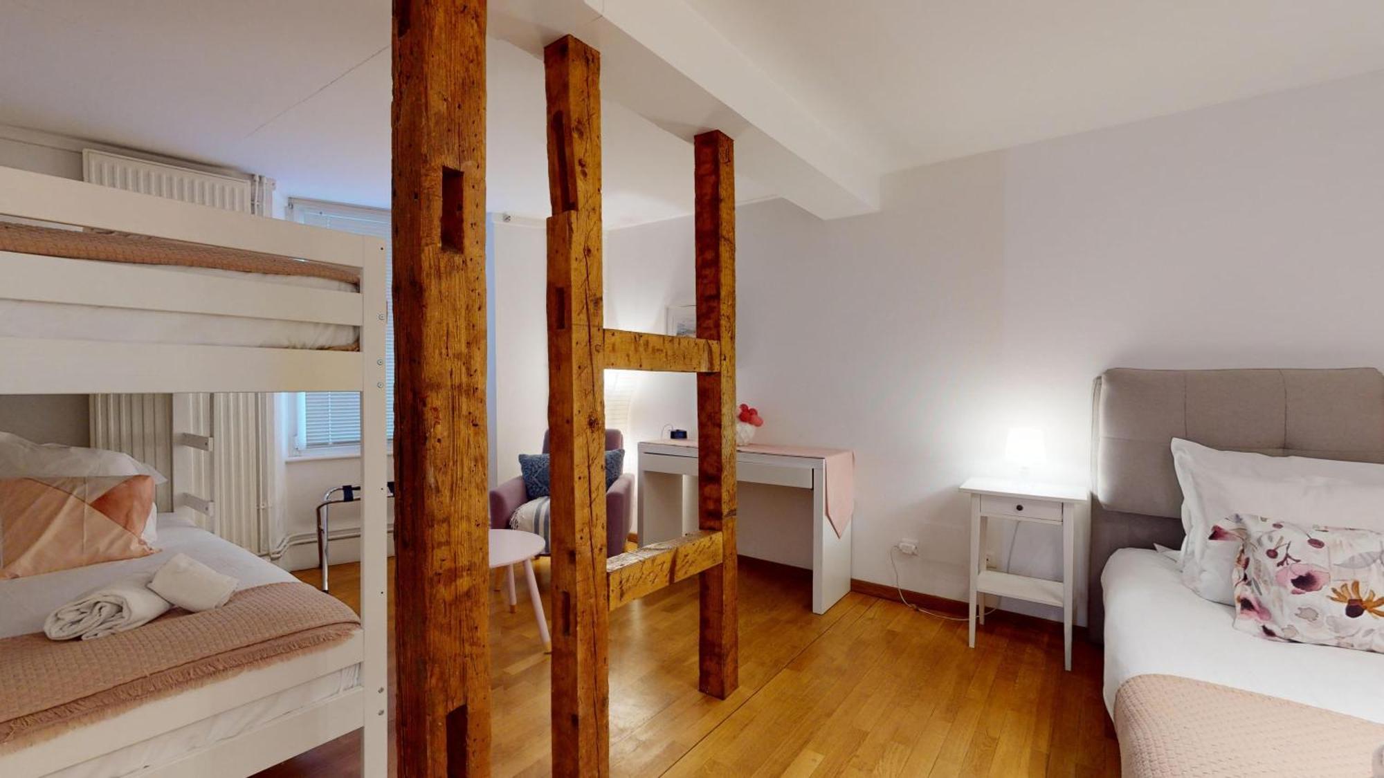 Colmarappart Rue Des Clefs Apartment *