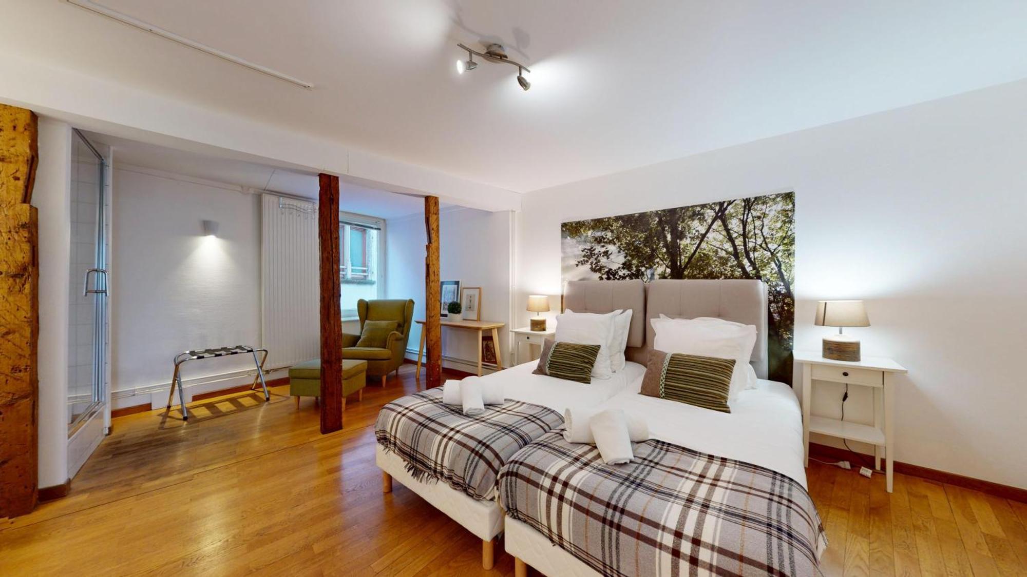 Colmarappart Rue Des Clefs Apartment