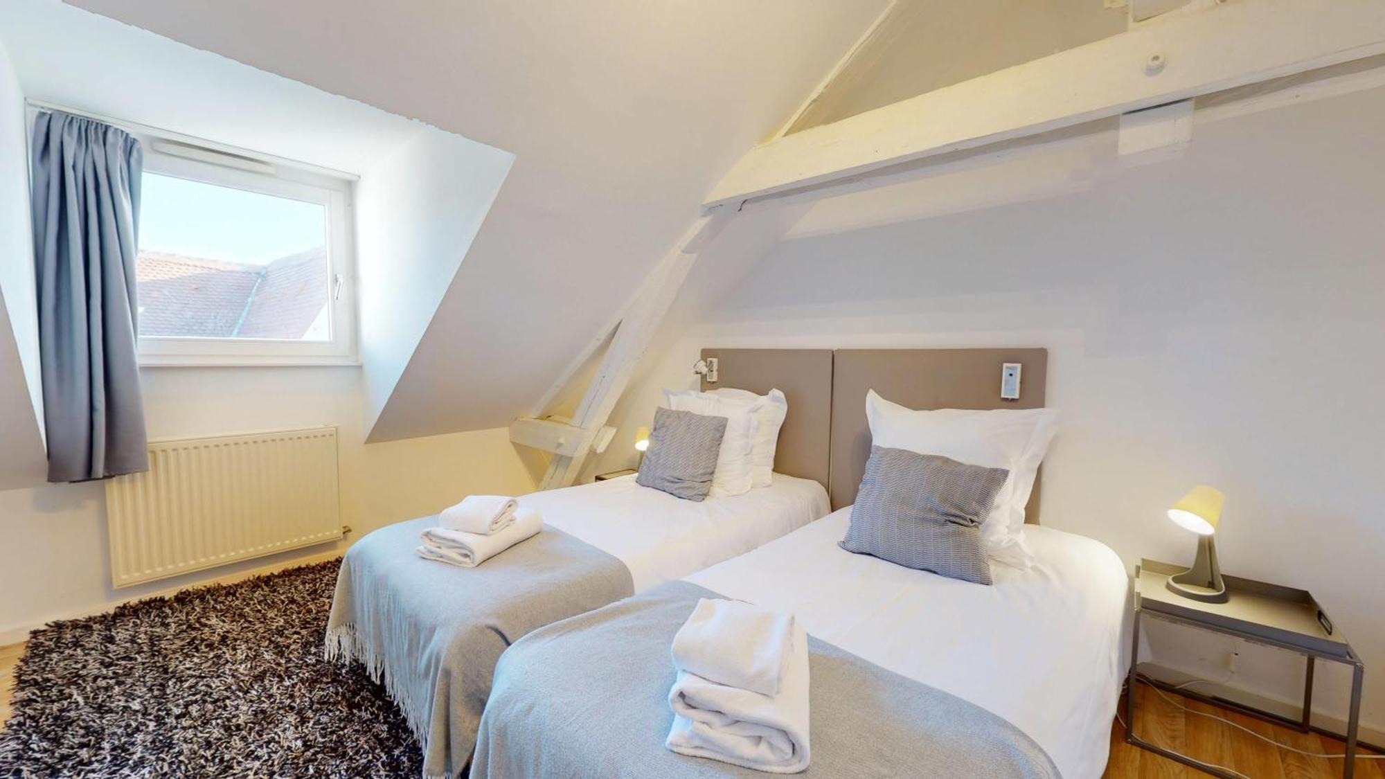 Colmarappart Rue Des Clefs Appartement *