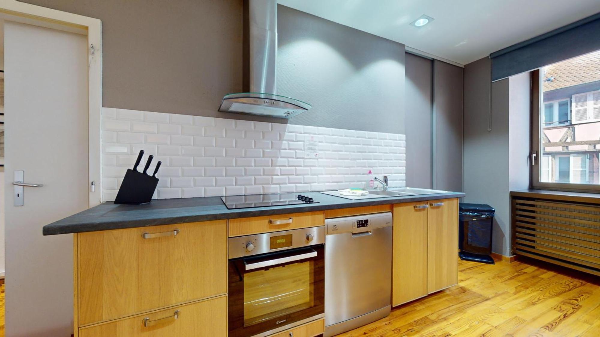 Apartment Colmarappart Rue Des Clefs Colmar